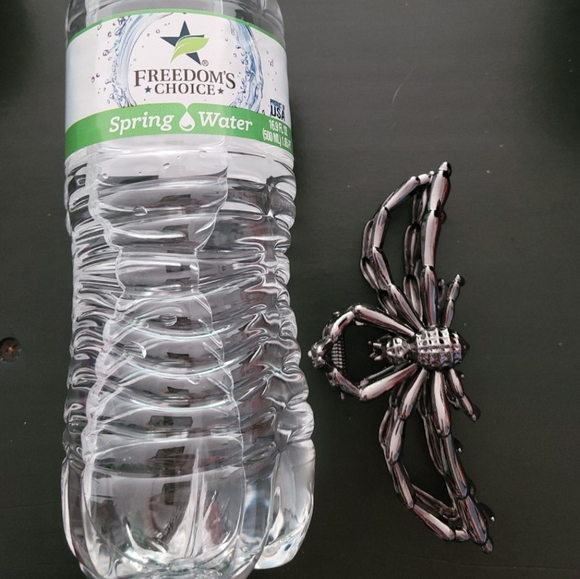 🕸️🕷️ Spider metal hair claw clip - Picture 2 of 9